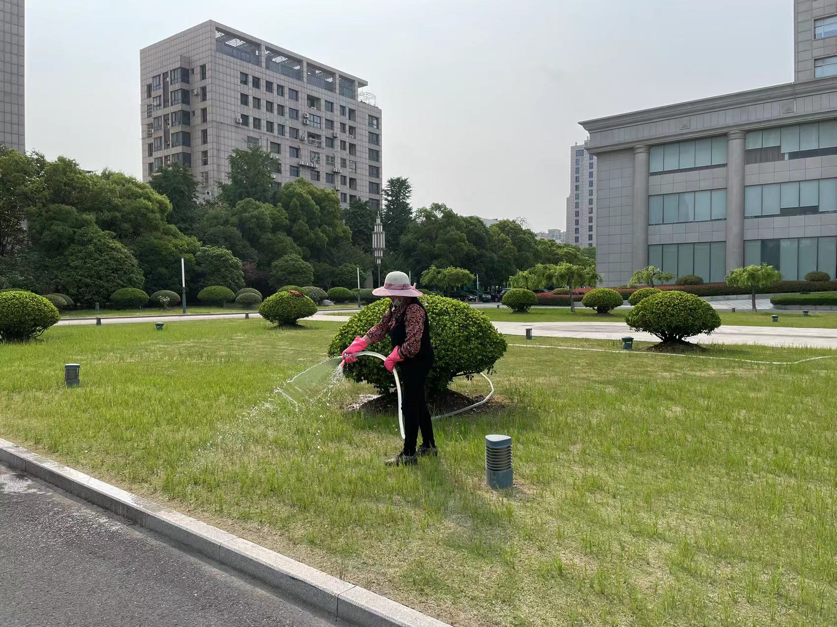 鹽城市交通運輸局大院綠化養(yǎng)護工程